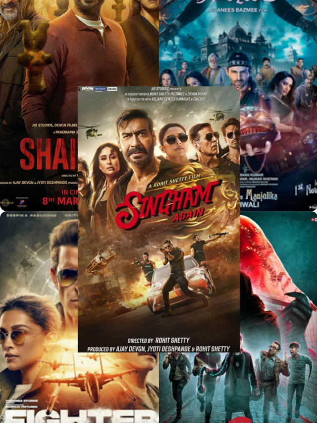 Top 5 Bollywood Movies of 2024 According to Box Office Collection